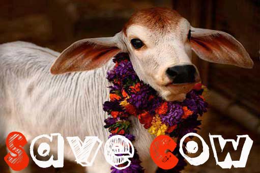 Save Mother Cow - Stop Cow Slaughter